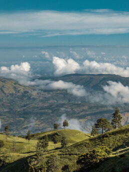 Cordillera Central